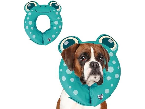 BigMouth Frog Inflatable Recovery Collar