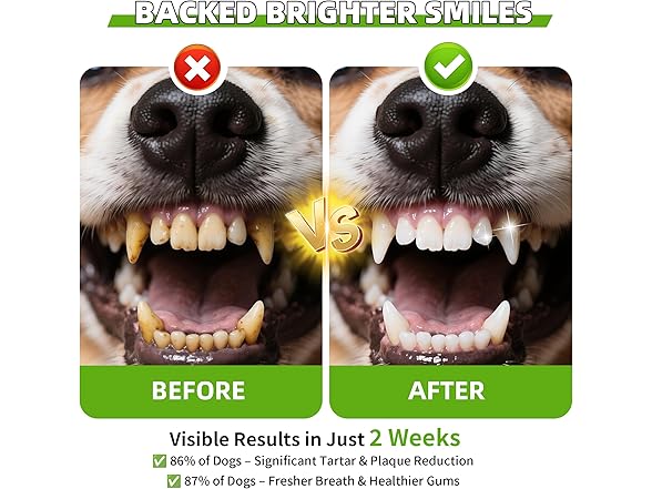 Fuzzycare Dog Teeth Cleaning Powder