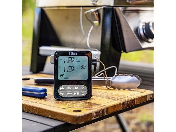 Taylor TruTemp Dual Probe Wired Programmable Thermometer