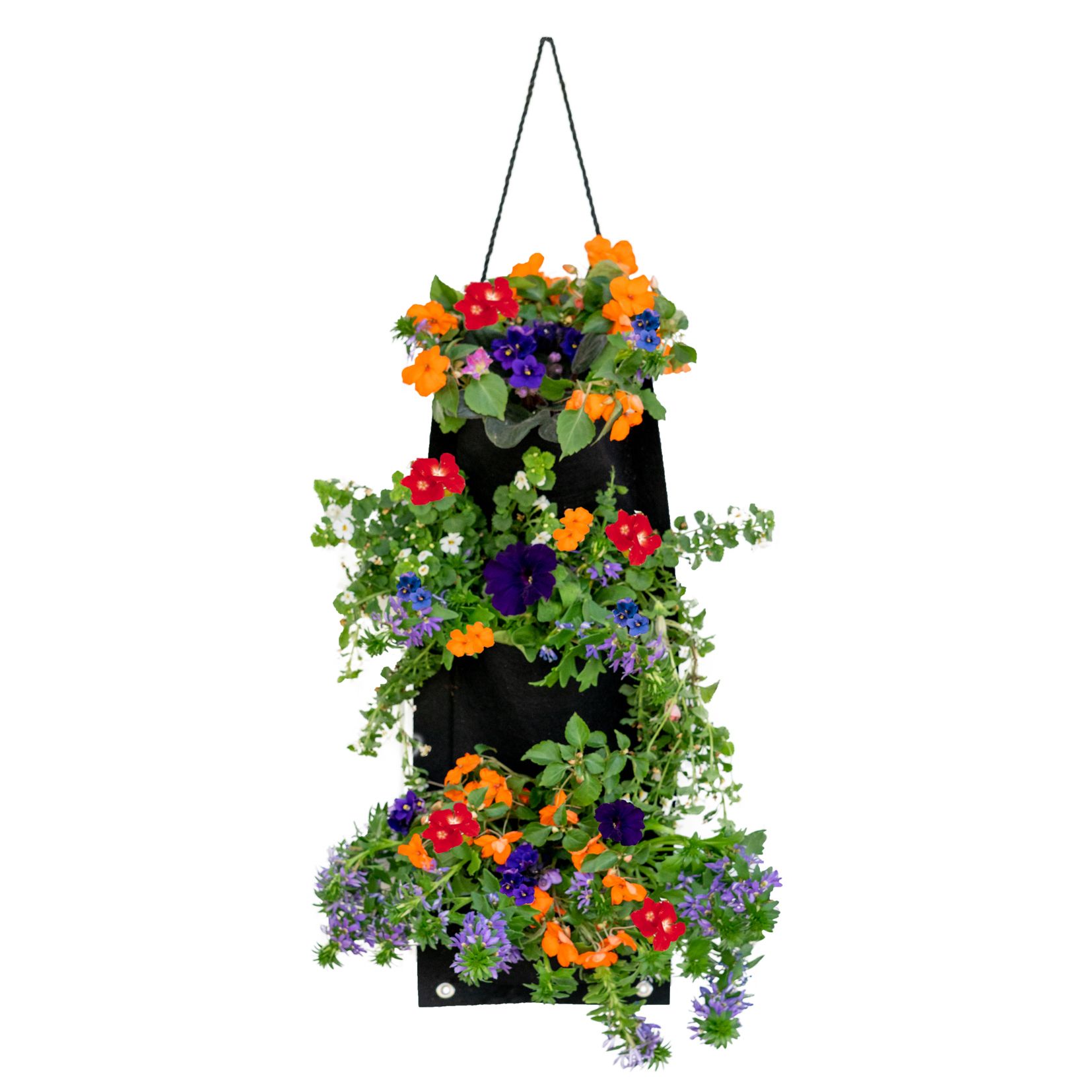 Pocket Hanging Flower Garden Seed Kit - Gallery 18