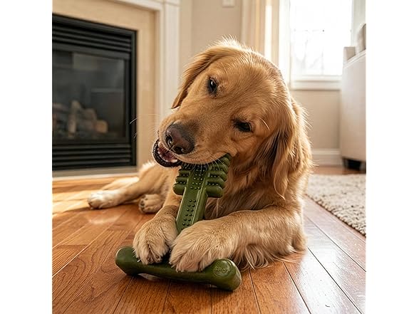 SPOT Bam-Bones Plus Toothbrush Dog Chew Toy