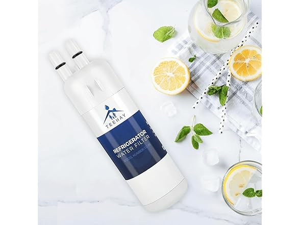 TEEHAY 9081 Water Filter Replacement