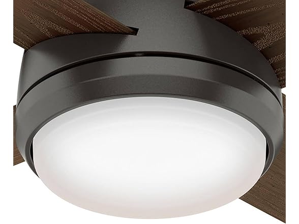 Hunter Fan 52" w/ Light Kit and 4-Blades