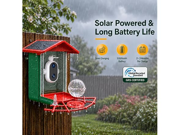 Plastic Smart Bird Feeder W/ Camera