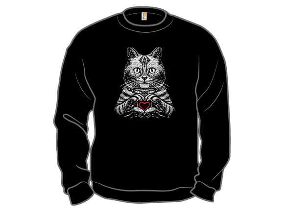 American Shorthair True Affection - Gallery 4