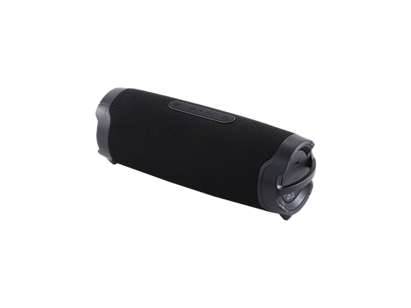 Arena Live Wireless Speaker