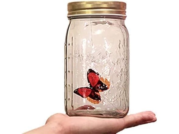 Animated Butterfly Jar That Moves