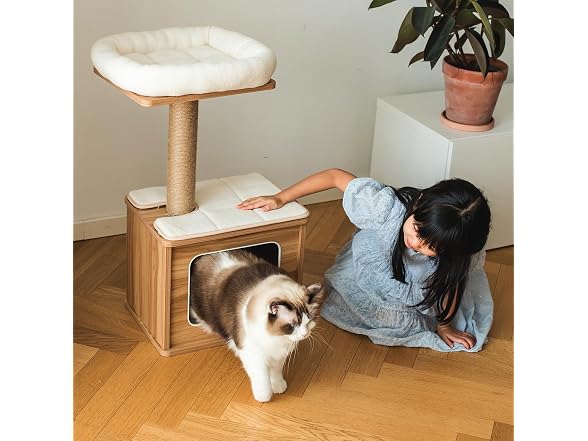 Catry 30" High Cat Play House Condoo with Cat Perch