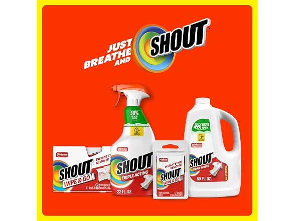 Shout Wipe and Go Stain Remover Wipes 12ct