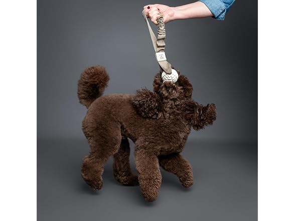 NOAH & PAW Luxury Dog Toy, TPU- Sling, Beige
