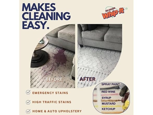THE AMAZING WHIP-IT Cleaner