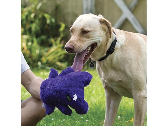 Hero Chuckles, Plush Squeaky Dog Toy, Durabl