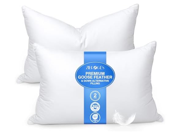 zibroges Feather Pillows Queen Set of 2