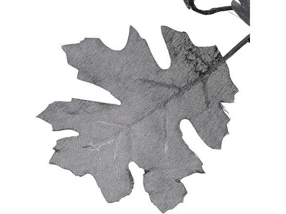 National Tree Company Black Oak Tree, 4 Feet