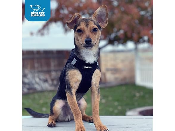 Voyager Step-in Air Dog Vest Harness