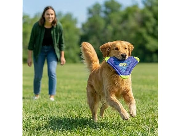 Outward Hound FlyFetch Flyer Dog Toy, Lightweight