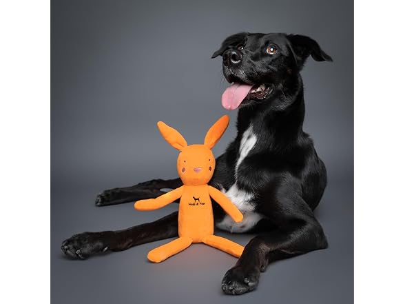NOAH & PAW Luxury Dog Toy Basket Set