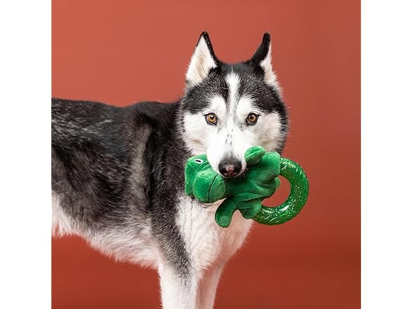 Fringe Studio Rubber Dog Toy, Unleash THE Dino
