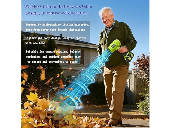Generic 21V Cordless Leaf Blower 13Ah