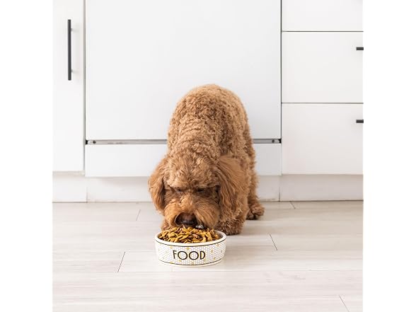Pearhead Ceramic Dog Food Bowl – Bistro Tile