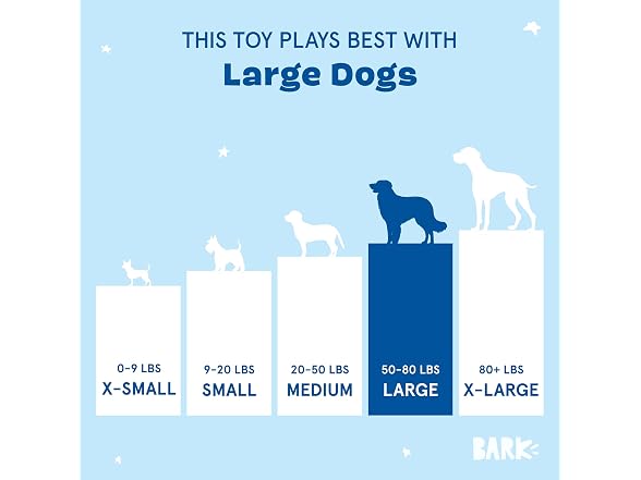 BarkBox Marley & Gnarley's Chain Dog Toy