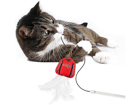 NHL Washington Capitals Team Jersey Wand with CAT NIP
