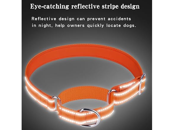 Reflective Martingale Dog Collar