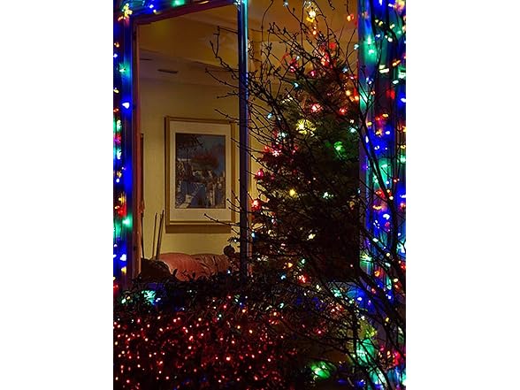 Twinkle Star 99 FT Christmas Mini String Lights