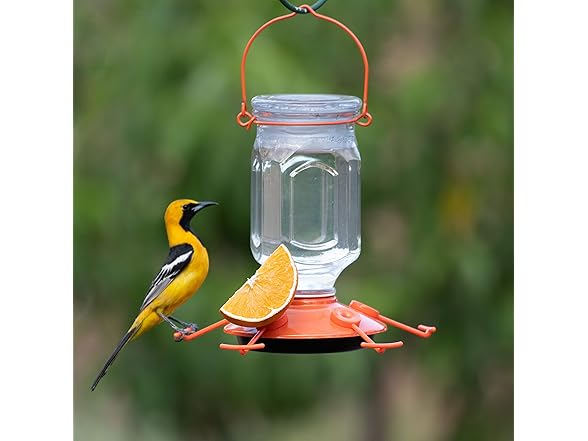 Perky-Pet 9113-2 Top-Fill Glass Oriole Feeder