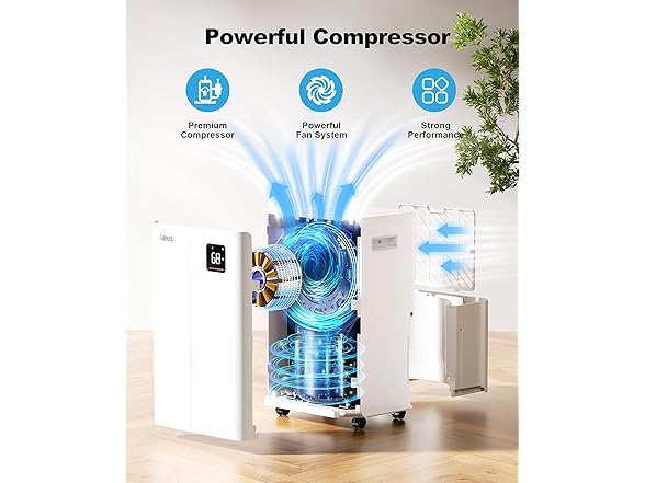 Lienuis Dehumidifier for Basement