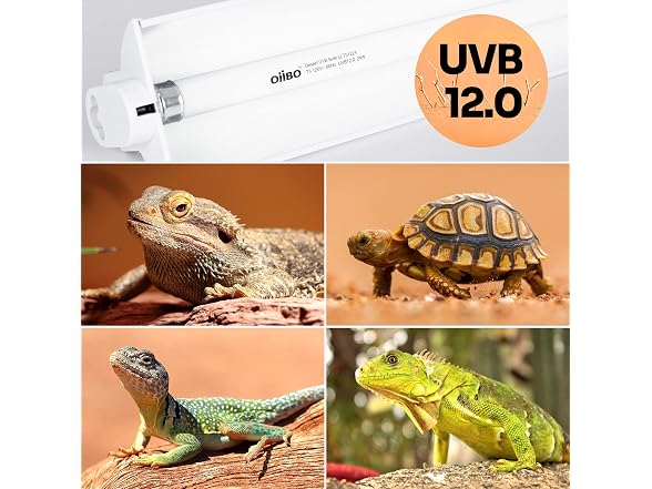 T5 HO Reptile Light Fixture UVB Lighting Combo Kit