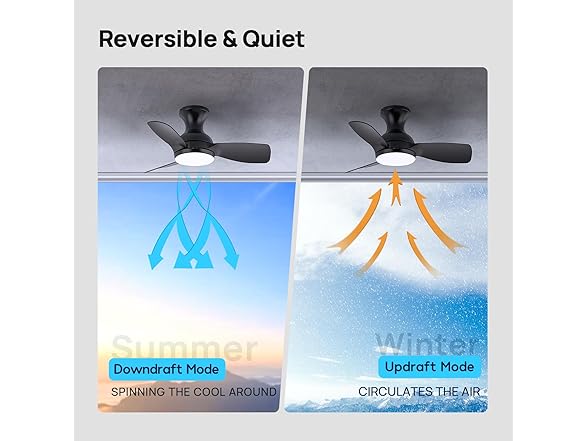 Consciot Ceiling Fan With Lights 30 Inch, Black