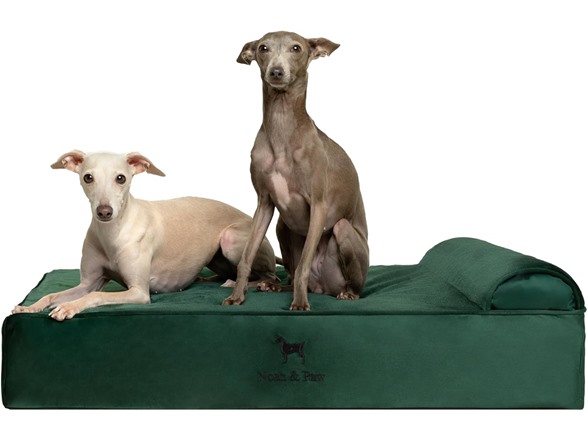 NOAH & PAW Orthopedic Dog Beds- Large
