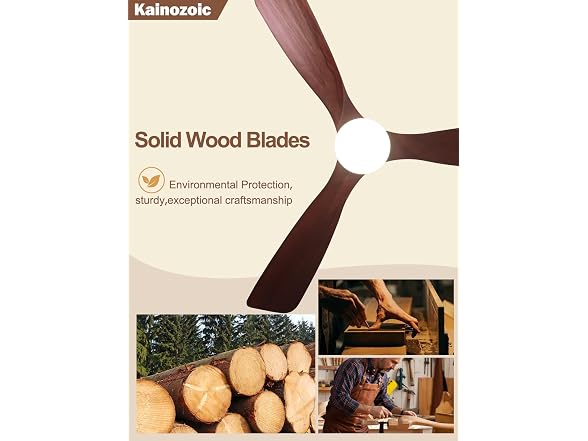 Kainozoic 52 Inch Ceiling Fan with Light