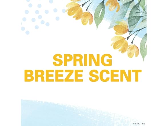 Secret Solid Invisible Spring Breeze 2.6oz