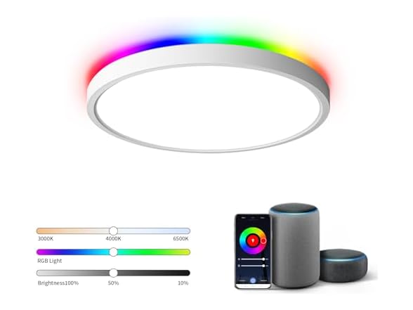 TALOYA Smart Ceiling Light Fixture