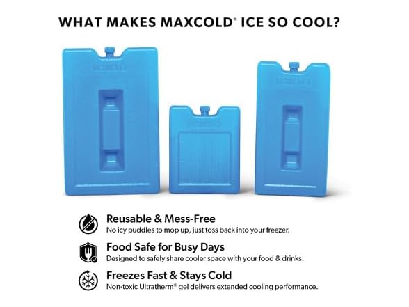 Igloo Medium Maxcold 2 Pack Ice Block