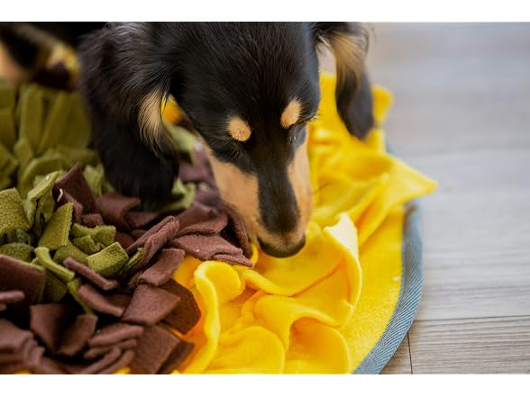 Injoya Sunflower Snuffle Mat for Dogs - 19" x