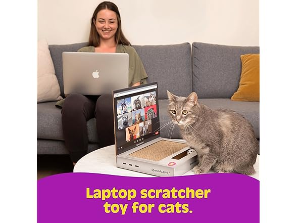 WHAT DO YOU MEME? Laptop Cat Scratcher