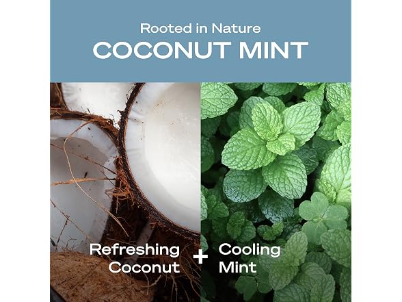 3Pk Coconut Mint Moisturizing Body Wash