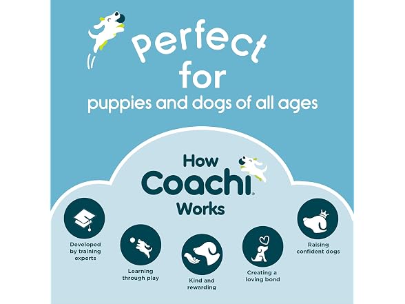Company of Animals Coachi Training Whistle | Coral