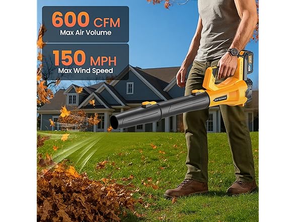 Cordless Leaf Blower 2x4.0Ah Battery