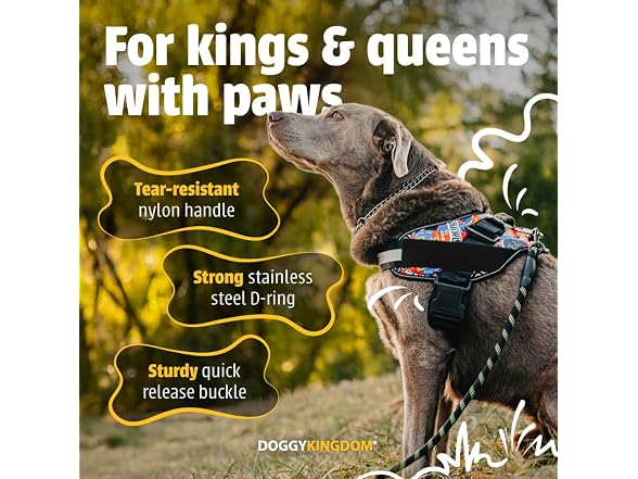 DOGGYKINGDOM No Choke Dog Harness with Handl