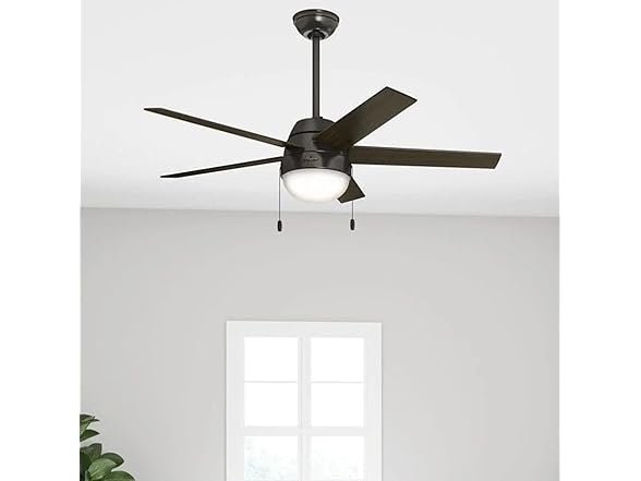 Hunter Fan 52 Inch with Light and Pull Chain