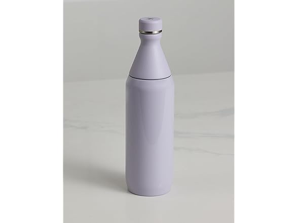 Stanley All Day Slim Bottle 20oz - Purple Dust Gloss