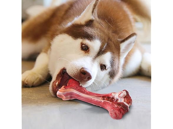Dog Toys Aggressive Chewers Simulated Bone Dog Toys