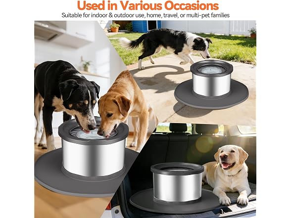 Decflow 12L No Spill Stainless Steel Dog Water