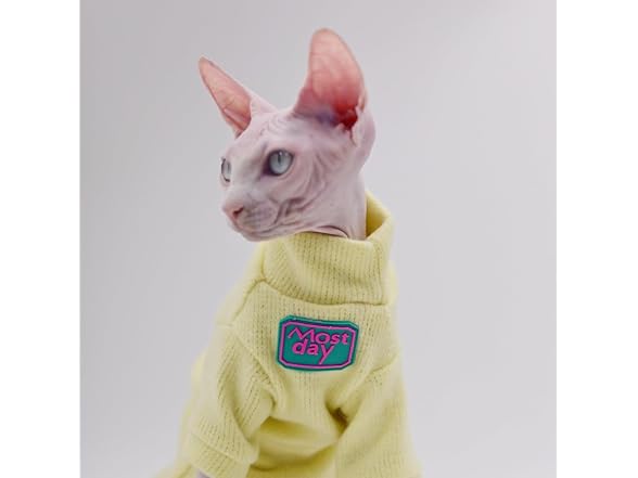 Sphynx Cat Clothes Autumn and Winter Thicken
