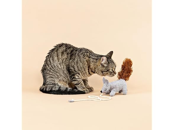 Fringe Studio ONE TUFF NUT Teaser Cat Toy
