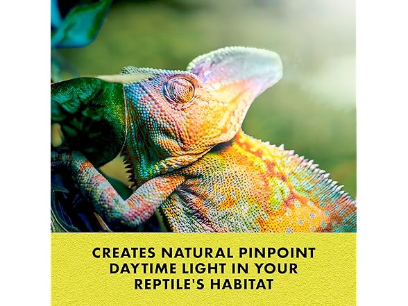 Zilla Incandescent Spot Bulbs Day White 100 Watts